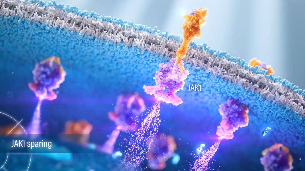 VONJO mechanism of action video showing how pacritinib spares JAK1 while inhibiting JAK2, ACVR1, and IRAK1